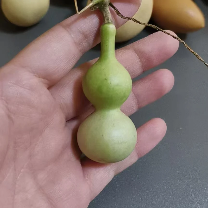 天然葫芦，（一物一拍专属链接）具体实物看直播间