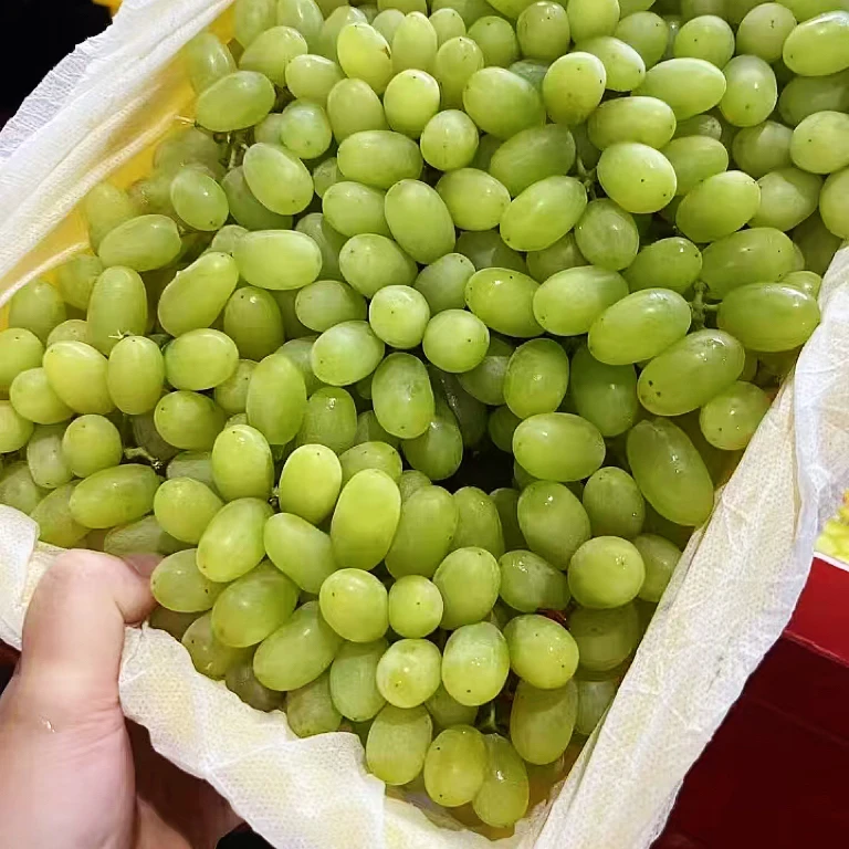 [北流同城配送] 新鲜珍珠白葡萄5斤