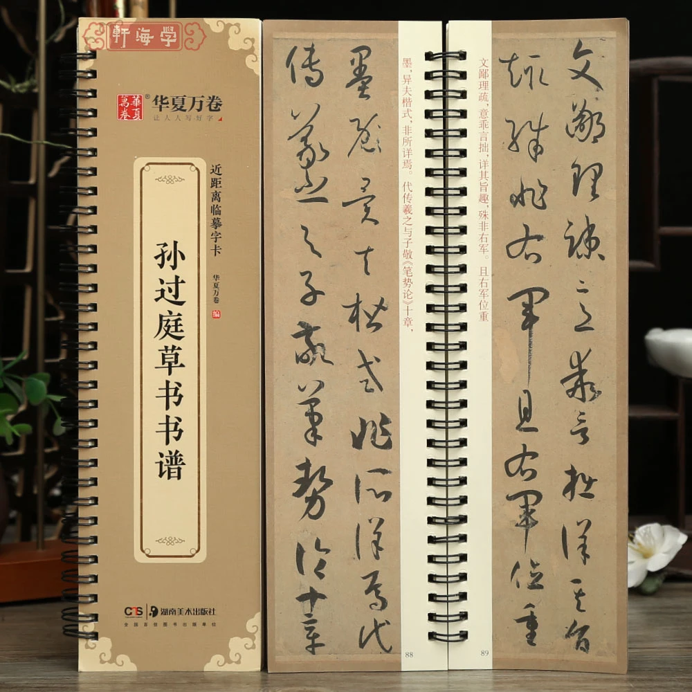 学海轩孙过庭草书书谱近距离临摹字卡简体旁注孙过庭草书临摹范本