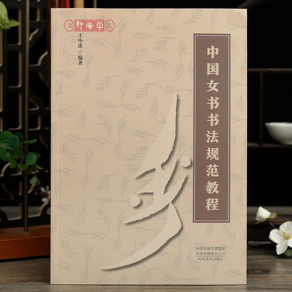 学海轩中国女书书法规范教程王小溪编执笔方法图样五种笔法十种书