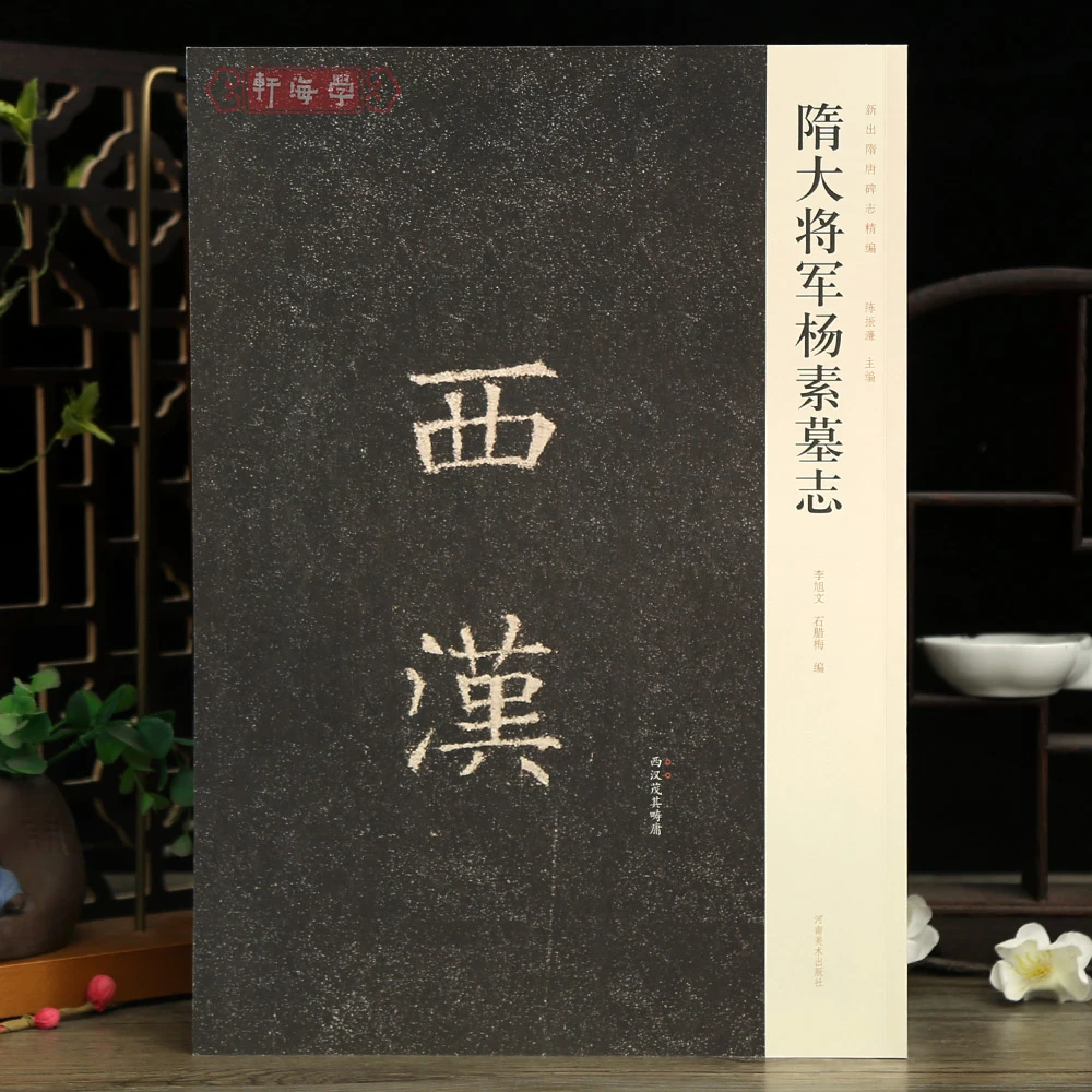 学海轩隋大将军杨素墓志新出隋唐碑志编原色原帖简体释文旁注整拓