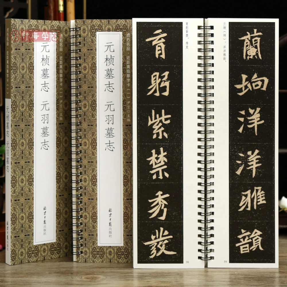 学海轩元桢墓志元羽墓志贞石名品近距离临摹字卡原色原帖简体旁注