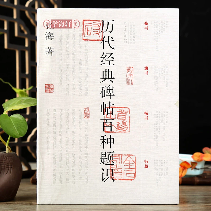 历代碑帖百种题识楷行草隶篆书甲骨文大盂鼎张迁碑好大王隶书镜铭