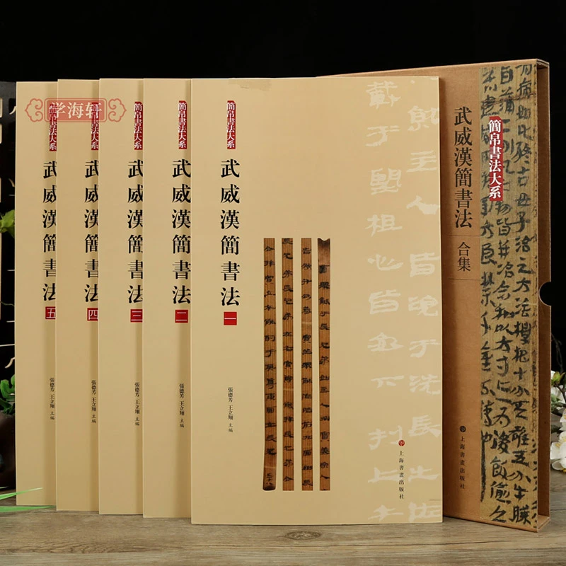 共5本武威汉简书法合集简帛书法大系原帖简体旁注局部放大上海书