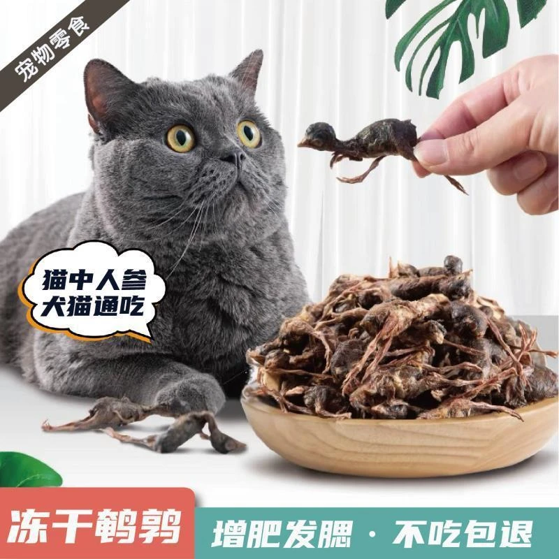 鹌鹑冻干猫咪无毛增肥发腮营养补钙物狗猫粮奖励吸收无盐无谷添加