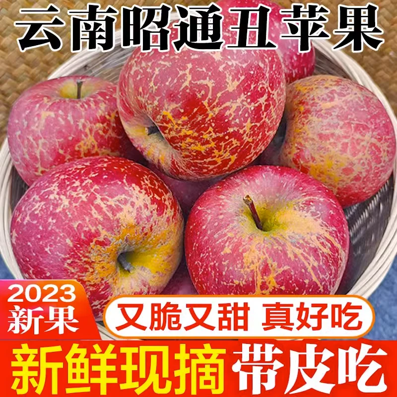 现摘云南昭通丑苹果野生新鲜冰糖心孕妇水果红露当季整箱10斤包邮