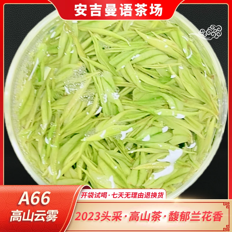 【高山云雾A66】昆铜高山白茶 浓郁兰花香 一芽一叶 绿茶 鲜爽