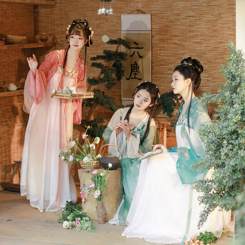 十卉集 菲菲 汉服春夏款披帛女款唐制汉服日常中国风