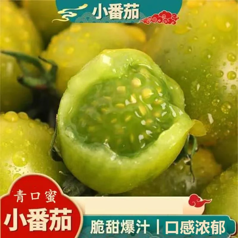 夏家清宁青口蜜小番茄绿色圣女果清早现摘酸甜多汁顺丰包邮产地