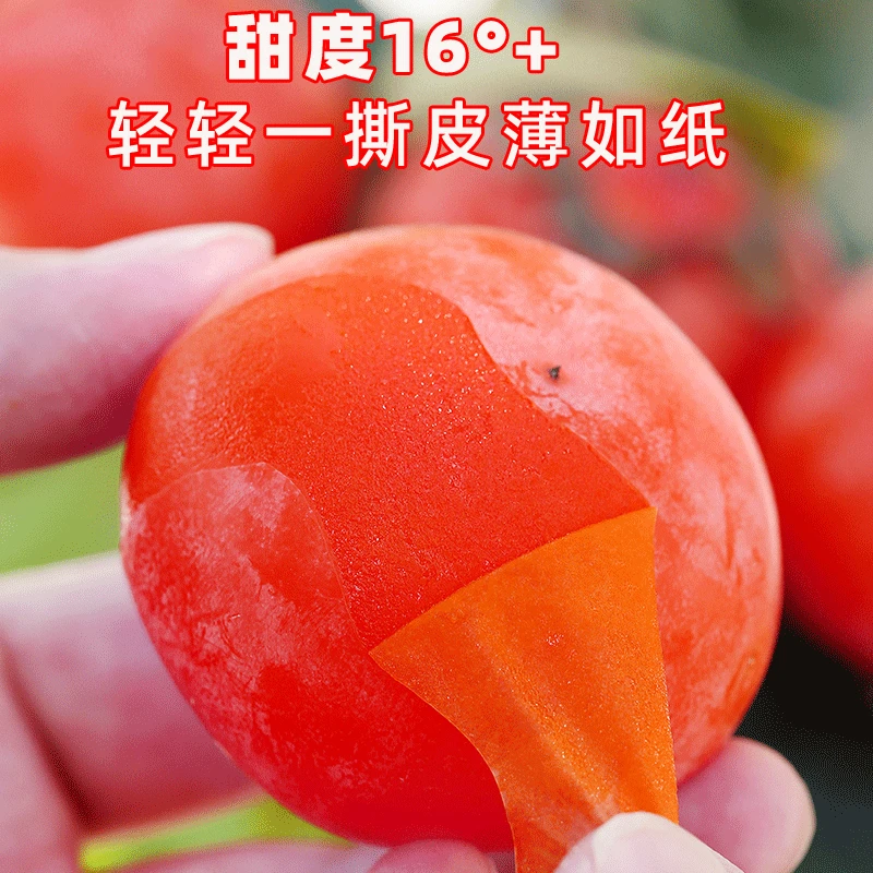 【流心蜜柿】陕西火晶柿子新鲜现摘包邮溏心软柿子皮薄甜蜜爆汁柿子