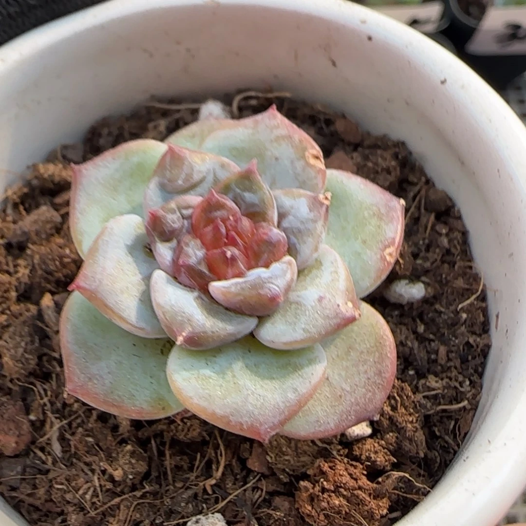 320哈哈哈哈哈哈哈