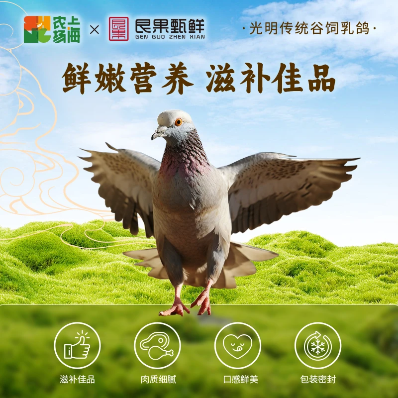光明传统谷饲乳鸽，崇明岛自然生长，东大滩营养乳鸽肉质鲜嫩