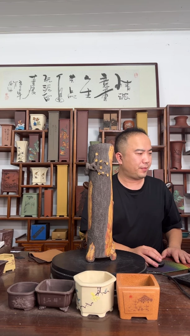 【闪购商品】紫砂花盆45635836865635656