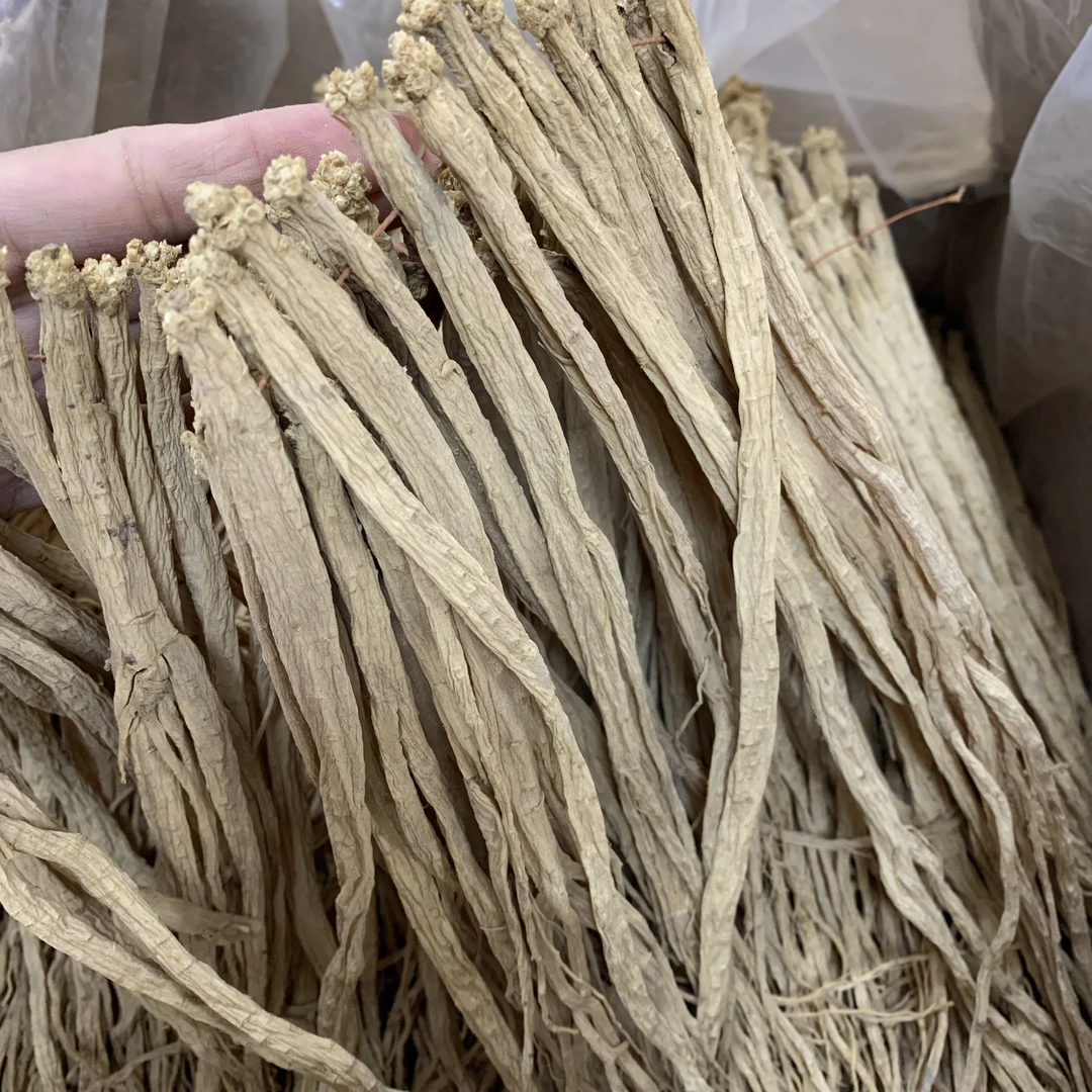 【翠贵海】甘肃党参 中大条无硫无蕙煲汤 泡水 泡酒