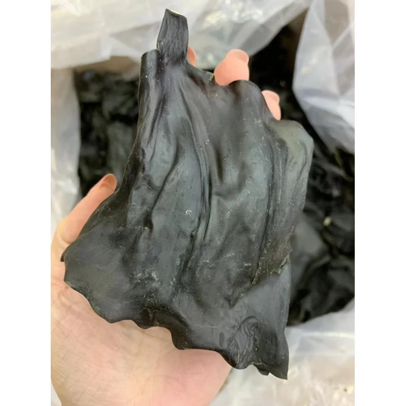 【翠贵海】海带头 海干货煲排骨汤 煲绿豆糖水