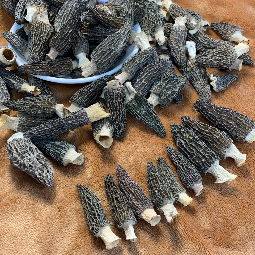 【翠贵海】六妹羊肚菌 四川头茬羊肚菌味道鲜浓 煲汤