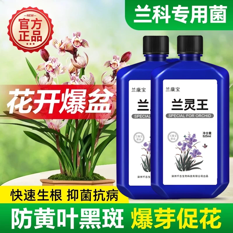兰灵王兰科活化剂兰花肥料菌群专用肥促开花生根em菌营养液君子兰