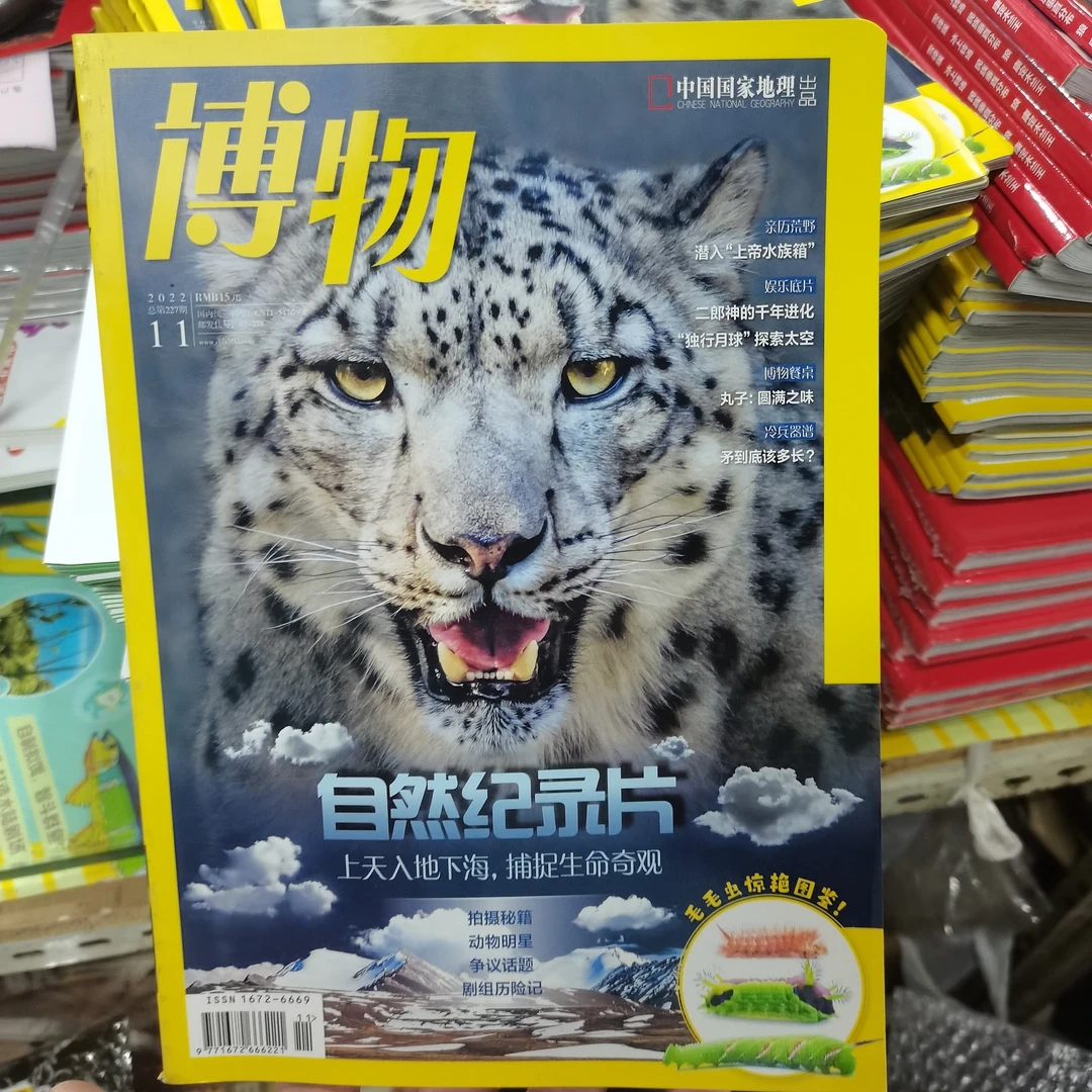 2022年《博物》老虎 虎虎生威