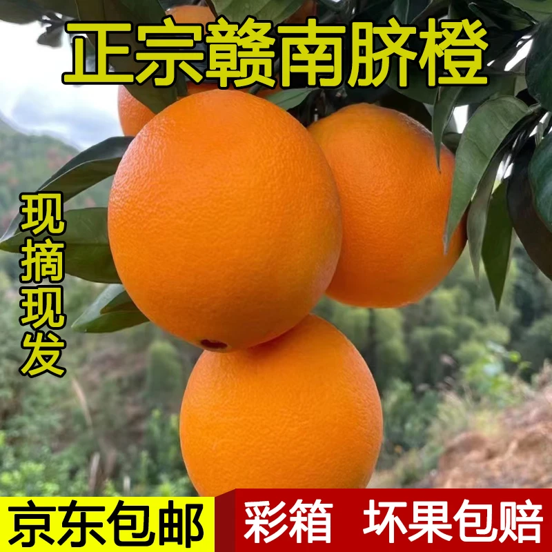 京东包邮正宗赣南脐橙现摘新鲜当季水果榨汁手剥橙子赣州直发