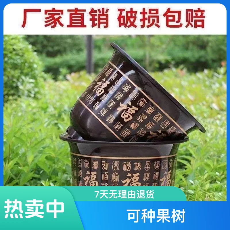 【拍1发10】加大加厚花盆25c口径大号月季果树捡漏仿瓷金福多肉花盆