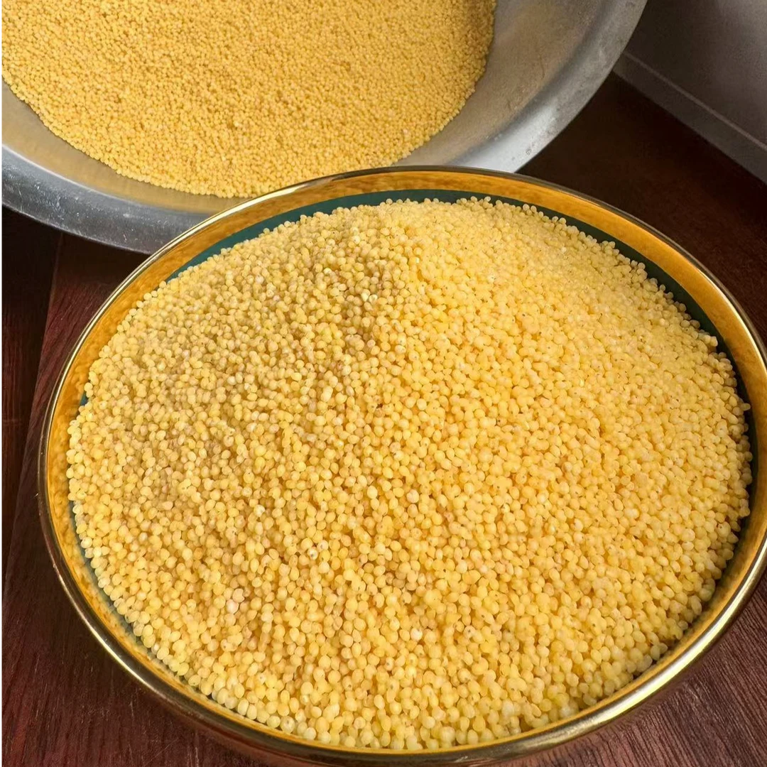 老家大黄米（今年新米）