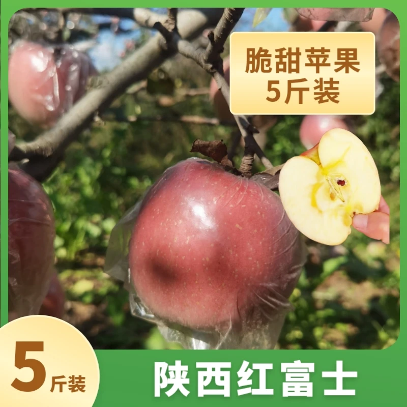 陕西红富士 头茬新果5斤装包邮更脆更甜现摘现发苹果新鲜重量