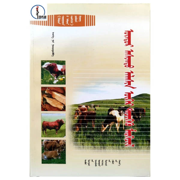 肉牛高效养殖技术【农牧民金钥匙丛书】蒙文 蒙语 图希格文化
