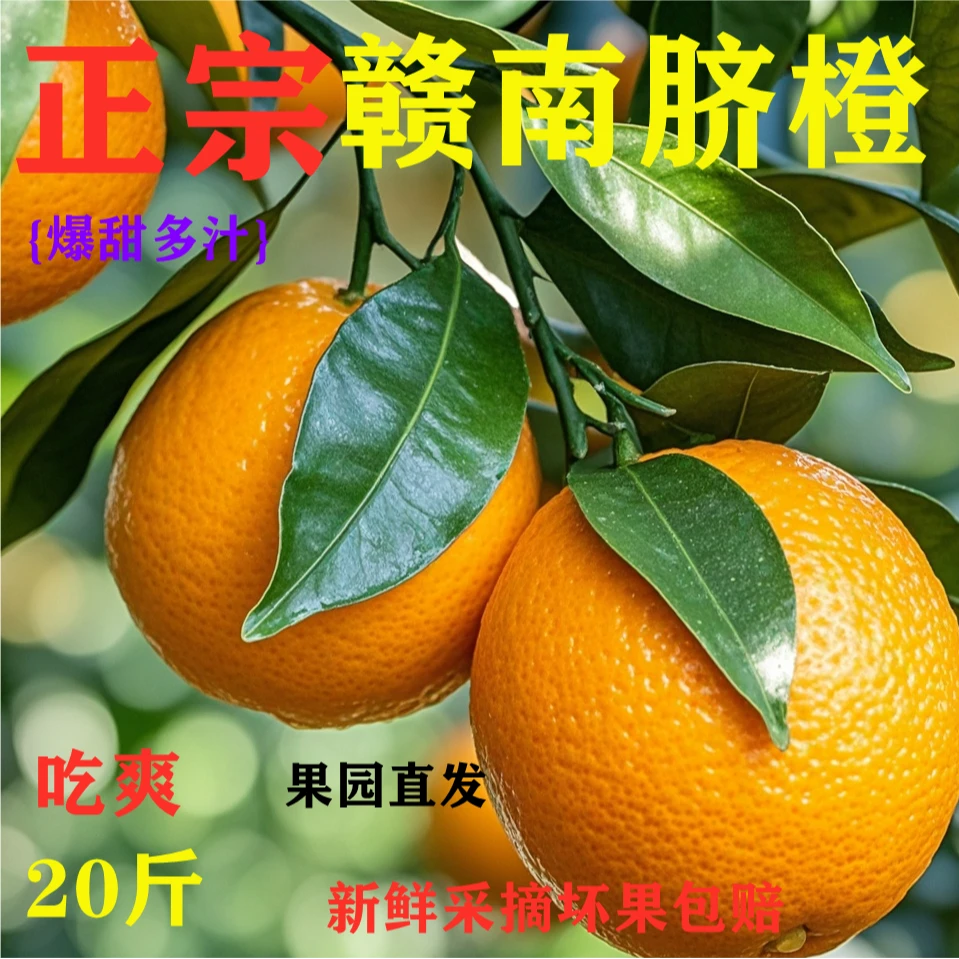 正宗江西赣南脐橙20斤现摘当季新鲜孕妇水果包邮礼盒装果园直发