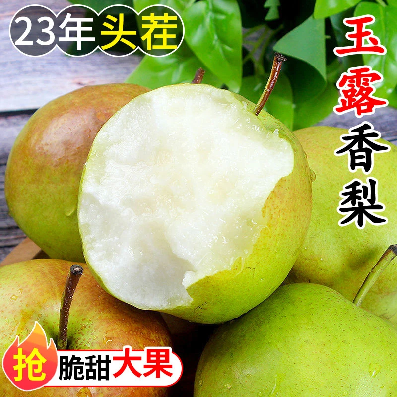 山西玉露香梨梨子新鲜水果当季整箱应季脆甜雪酥梨包邮
