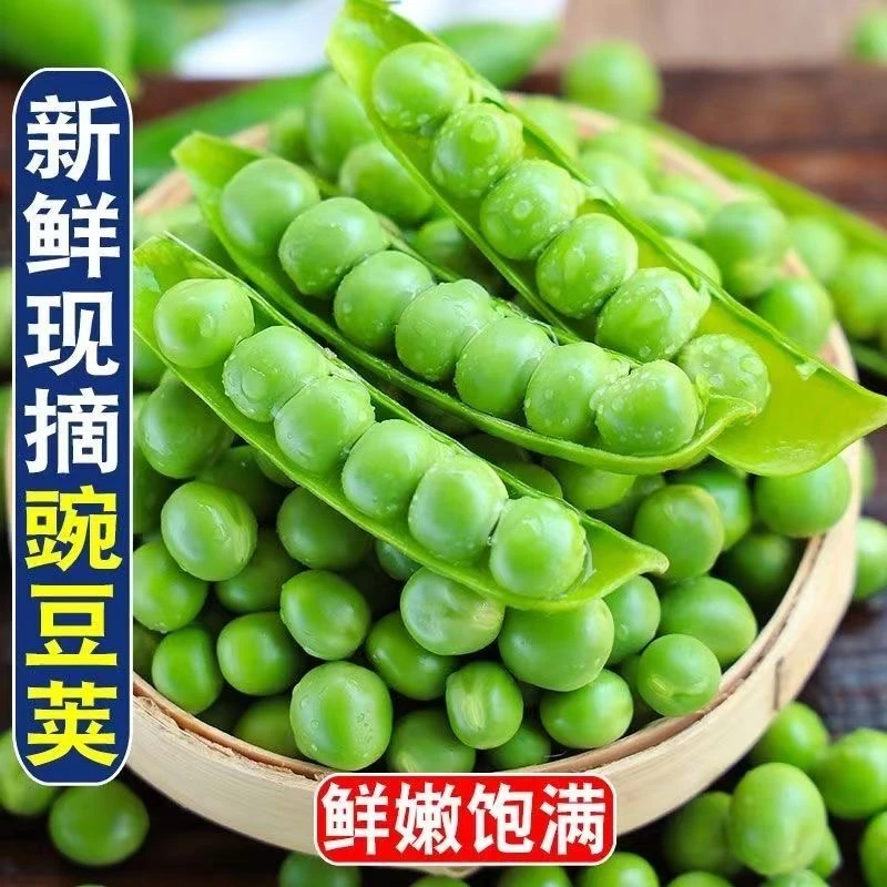 【顺丰包邮】新鲜带壳豌豆青豆角粒河南农家蔬菜甜豆荚嫩