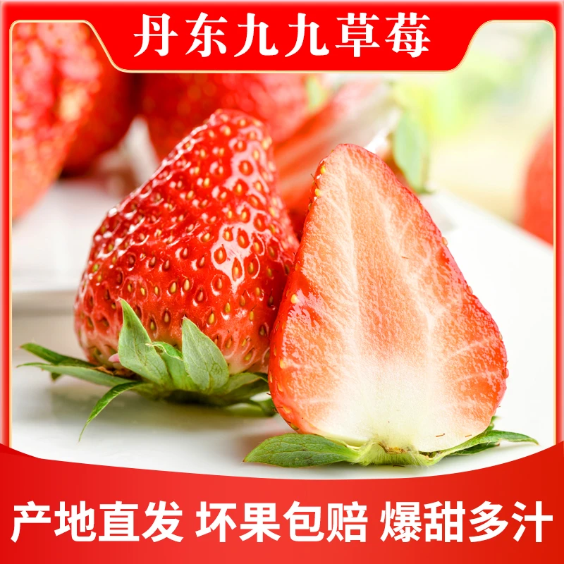 【丹东九九草莓】当季新鲜水果奶油草莓1斤-2.8斤包邮T