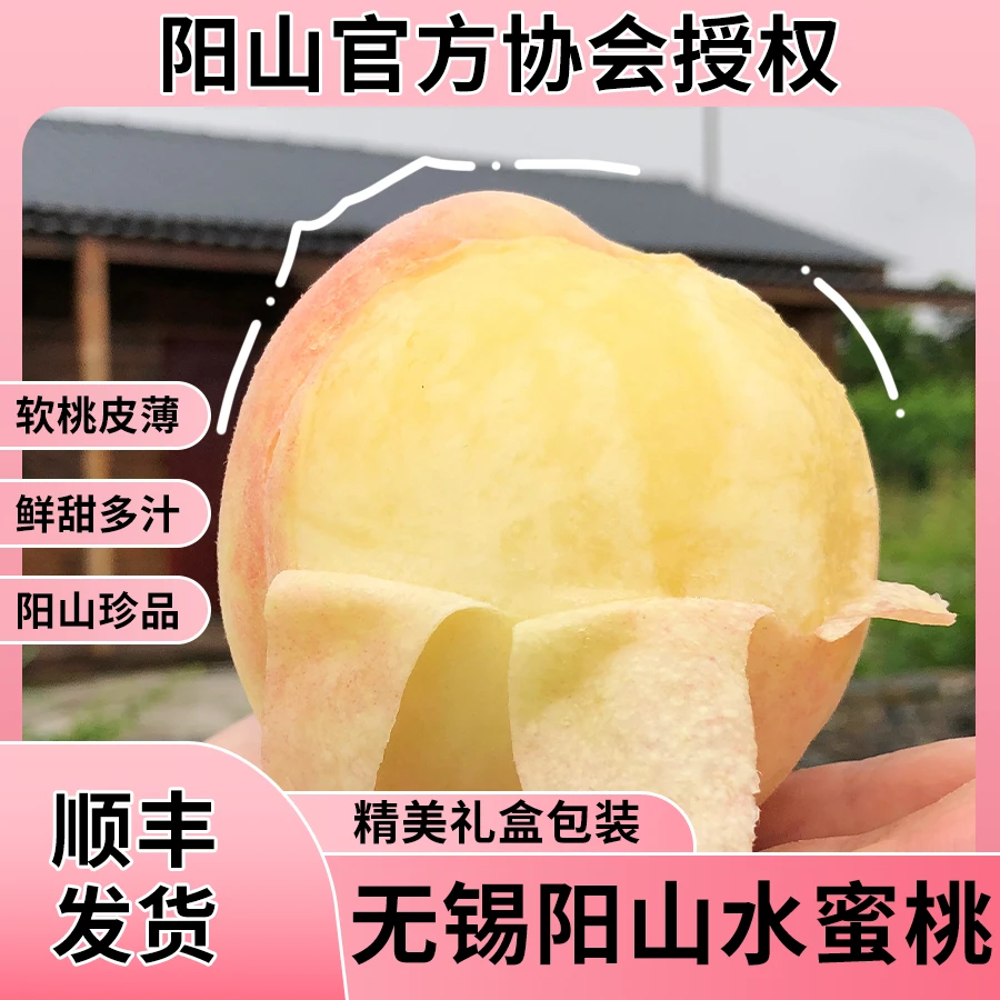 【寻优农】湖景蜜露正宗江苏无锡阳山水蜜桃皮薄爆汁鲜甜礼盒装顺丰