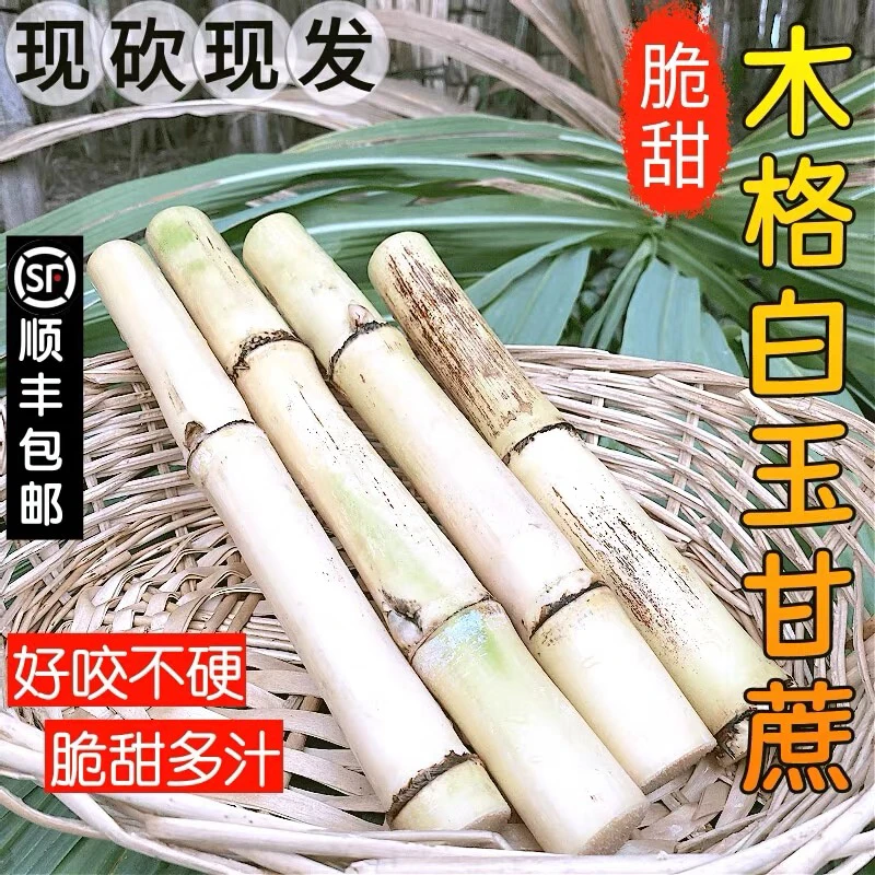 【顺丰包邮】广西木格白玉甘蔗新鲜水果广西特产当季玻璃脆甘蔗现摘