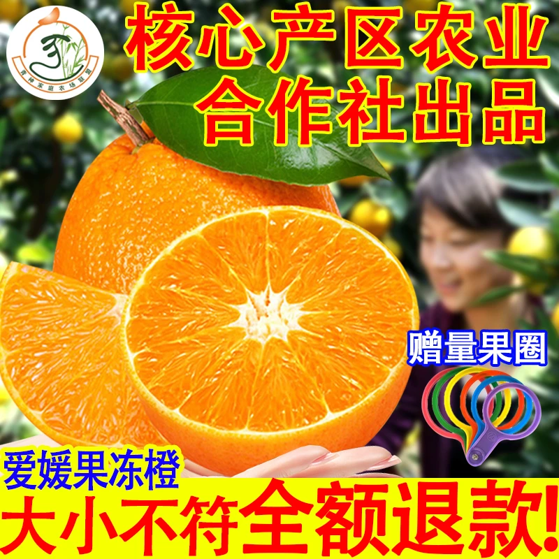 【现摘现发不停运】正宗四川爱媛38号京东包邮橘橙柑水果爱媛果冻橙