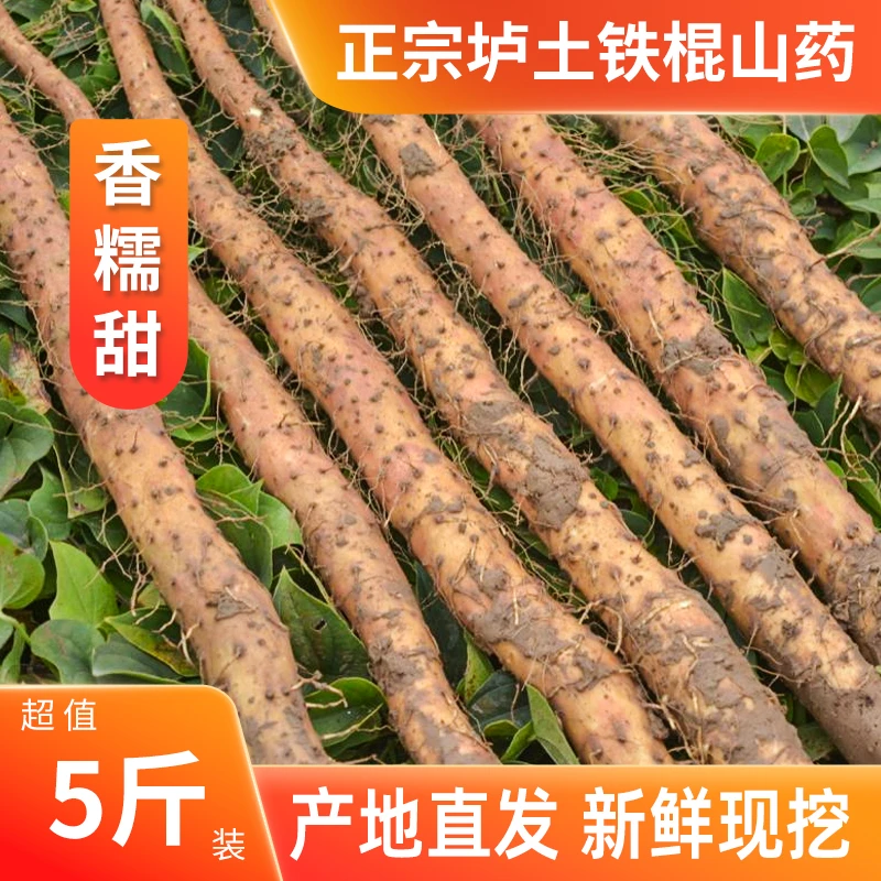 正宗河南焦作垆土铁棍山药5斤精品 新货温县特产新鲜铁棍怀山药