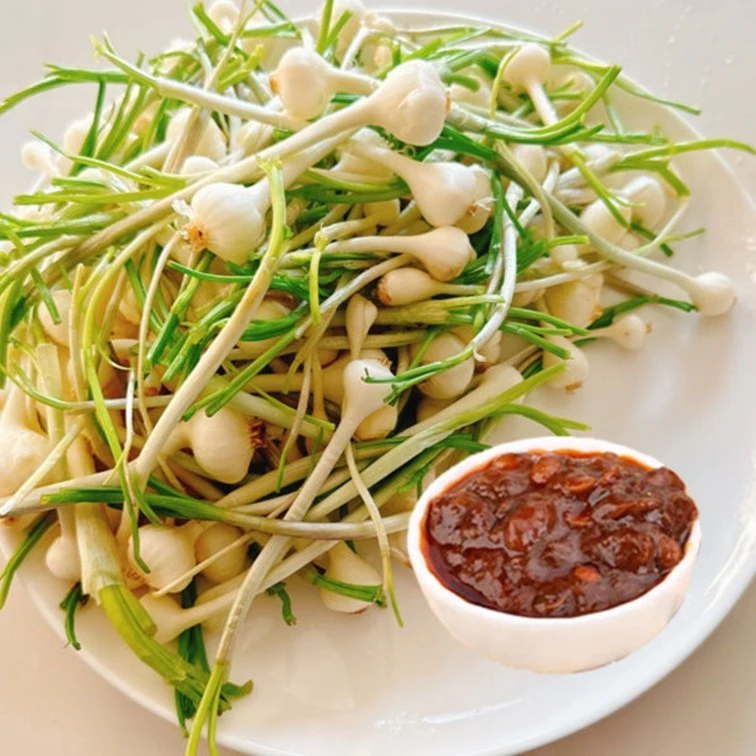 【东北山野菜】辽宁新鲜小根菜大脑崩食用蘸酱菜小根蒜1斤/2斤装