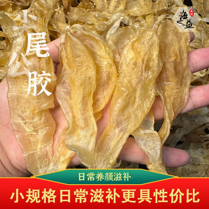 北海尖尾公 鱼胶花胶日常滋补