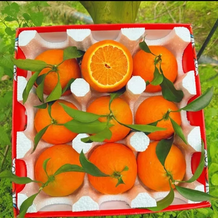 正宗四川爱媛38号果冻橙新鲜应季水果坏果包赔