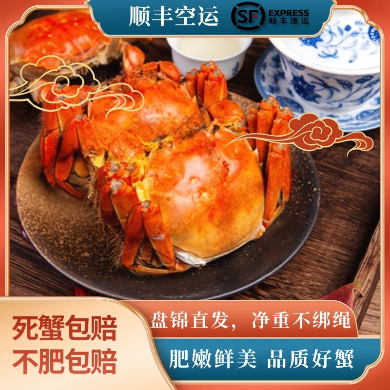 【新粉尝鲜专享】2两母蟹+2.5两公蟹/只特大共6只,家里两口人拍这个