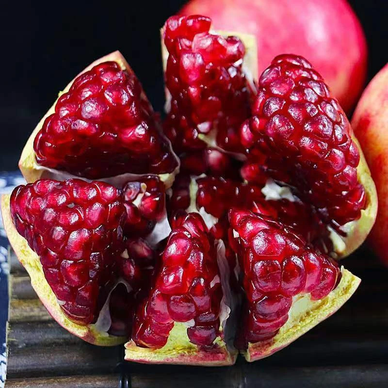 石榴树树苗突尼斯软籽石榴树庭院果树大红袍无籽石榴树大树盆栽苗