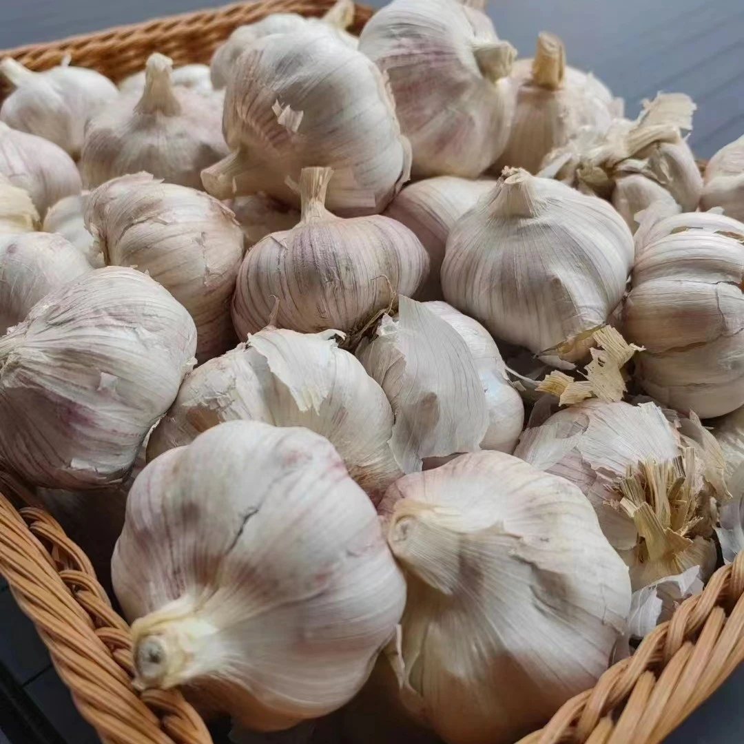 蒜一斤