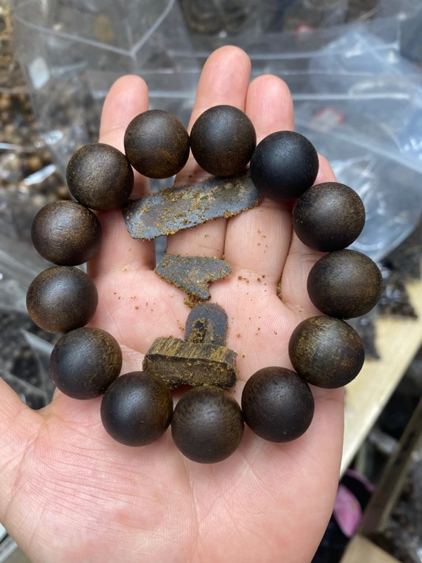 【沉水级】海南白棋树心料1.8大沉香手串香味浓郁