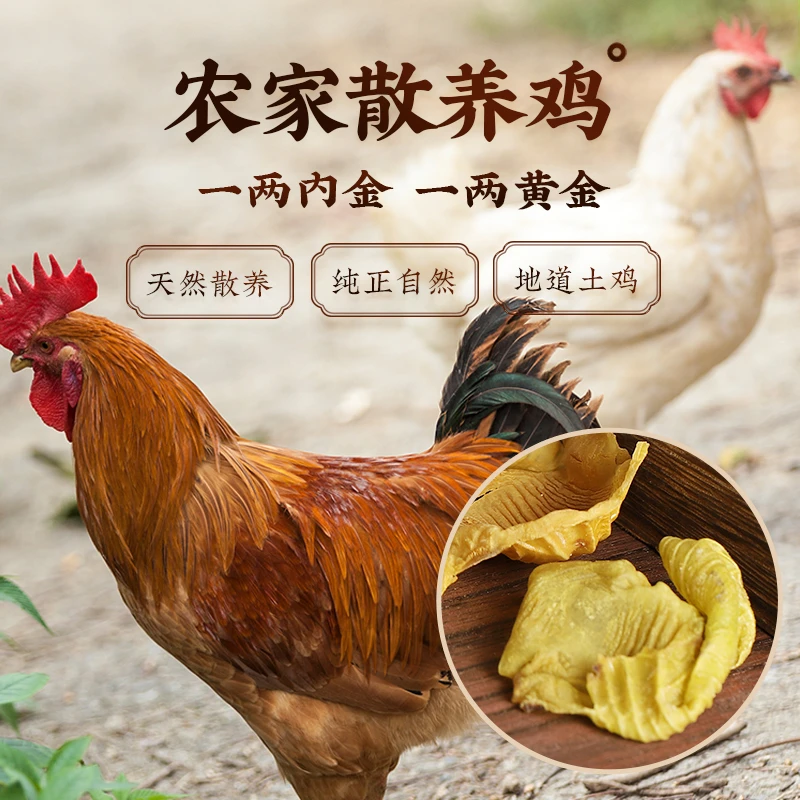《生粉》大瓶300g散养土鸡内金自然晾晒
