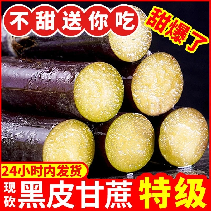 【抢购中】正宗广西黑皮甘蔗当季新鲜现砍水果甜脆榨汁甘蔗1-9斤