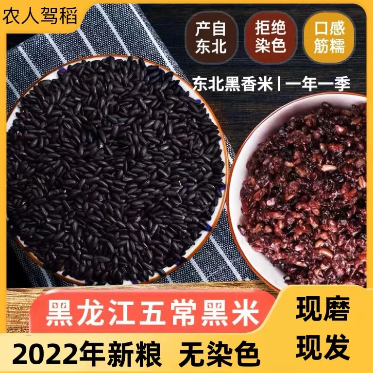 【黑香米】东北黑米 黑龙江五常农家自产黑香米 粗粮营养
