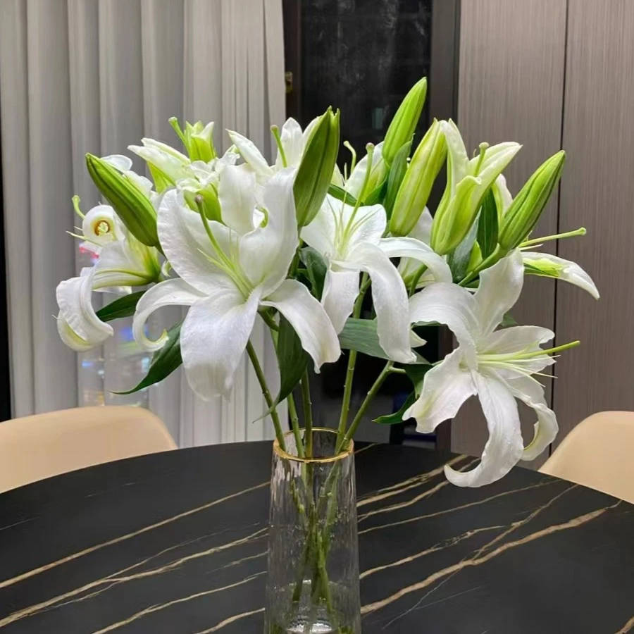 【同城外卖配送】3只多头白百合8/10花苞（生苞半开）颜色自选-生活鲜花家居花瓶插花