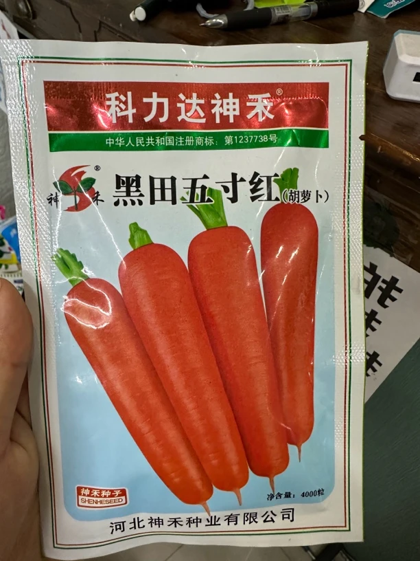 黑田五寸红胡萝卜种子
