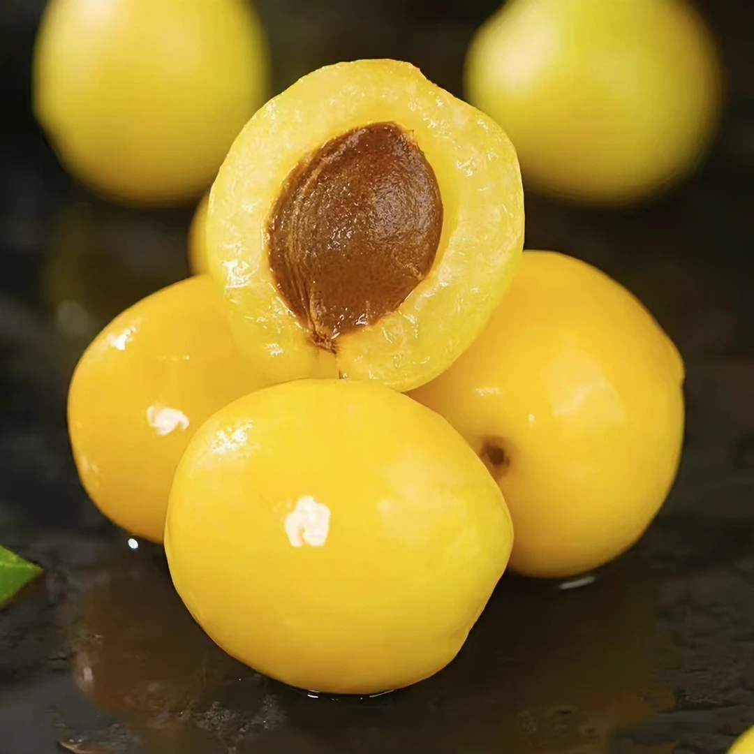 【顺丰空运直发】新疆轮台小白杏，长在树上的自然蜂蜜