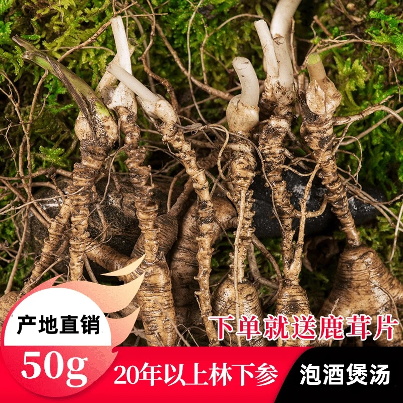 宝出泽赢新鲜林下参15-20年东北特产泡酒叁鲜人参长白山泡水参