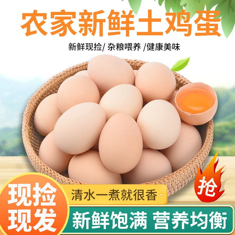 农户散养土鸡蛋10枚装  绵密笨鸡蛋 新鲜现捡egg